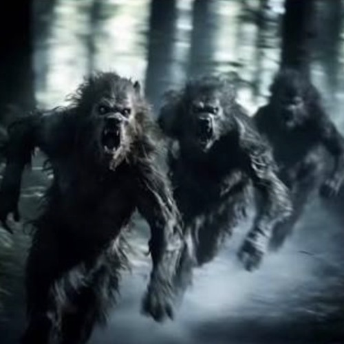 BeastBark ( at the moon 🌙)