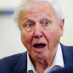 David Attenboroughs sesh | Hard techno mix