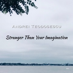 Stranger Than Your Imagination (acoustic)