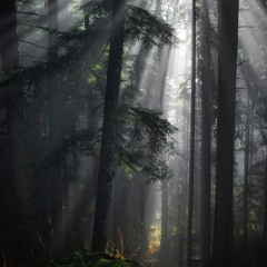 Precious Tale - Cinematic I Ambient Music