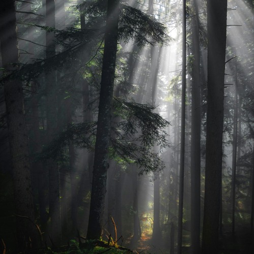 Precious Tale - Cinematic I Ambient Music