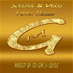 Soulful & Disco Funky House 1-25  DJ GM