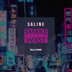 SALINE PROD. LOUIEXO