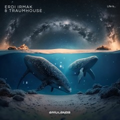 LTR Premiere: Erdi Irmak & Traumhouse - Life Is (Original Mix)[Amulanga]