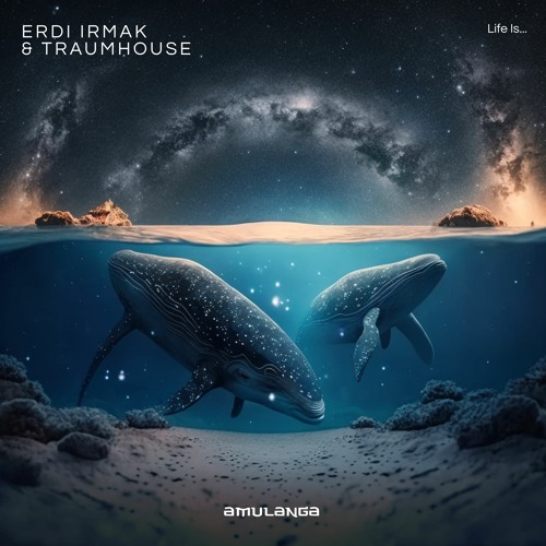 Erdi Irmak & Traumhouse - Telephatic Connection (Radio Mix)
