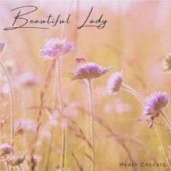 Beautiful Lady (instrumental)