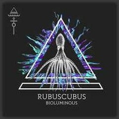 Rubuscubus - BIOLUMINOUS - Albumteaser