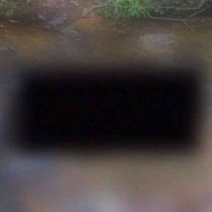 Love-Induced Psychosis