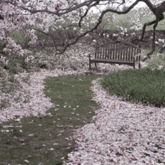 putrefaction w/ Kxtzw1nnn