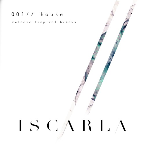 001 // going rogue // 120BPM House // Melodic Tropical Breaks Mix.  FRANKY WAH / NORA EN PURE