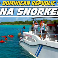 Best Snorkeling Saona Island Dominican Republic Prices Reviews