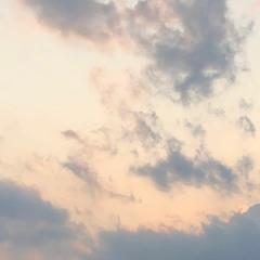 A Changing World（Collaboration With Hamogashi）
