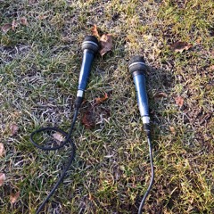 Dragged Mics. On Frozen Meadow for disquiet0495
