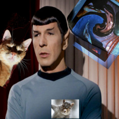 mr spock two "a real thinker"