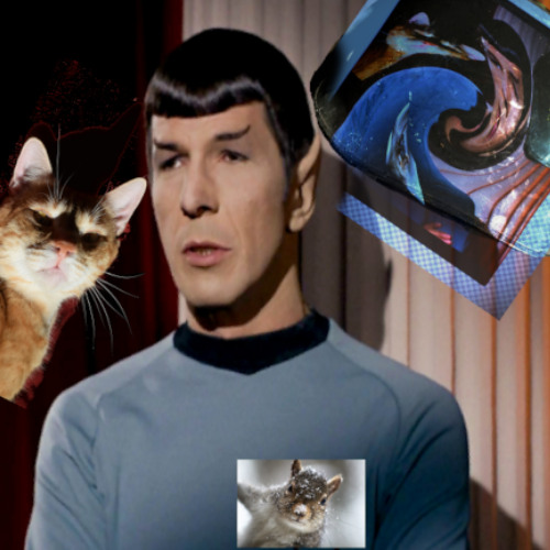 mr spock two "a real thinker"
