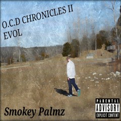 Buggin ( Prod. Shedgrin x Big Jern )