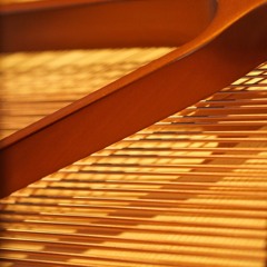 THE  MICROTONAL  PIANO    4