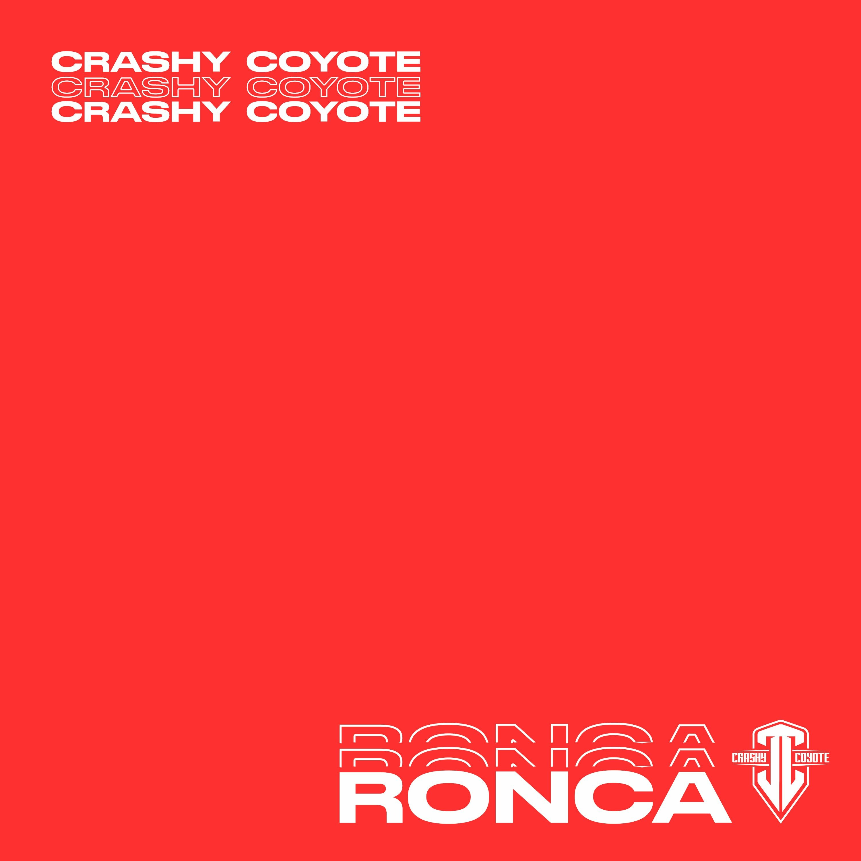 Crashy Coyote