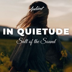Salt of the Sound - In Quietude