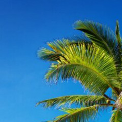 D Block Europe x M Huncho - ECLIPSE