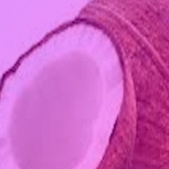 coconuts