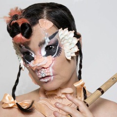 Björk 120118