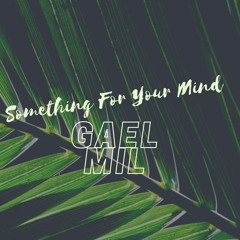 Something For Your Mind 2024 / GAEL MIL dj set