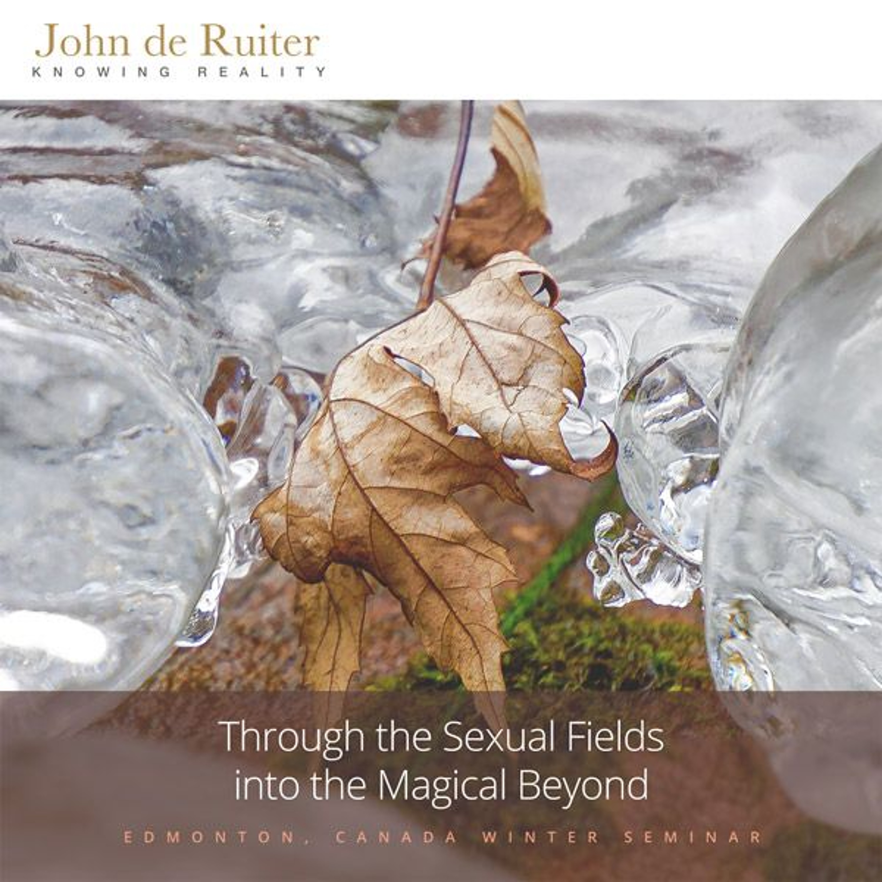340 - Through the Sexual Fields into the Magical Beyond - 1 of 7 episode artwork