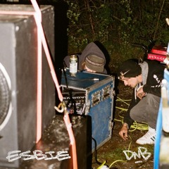 ESBIE | DNB