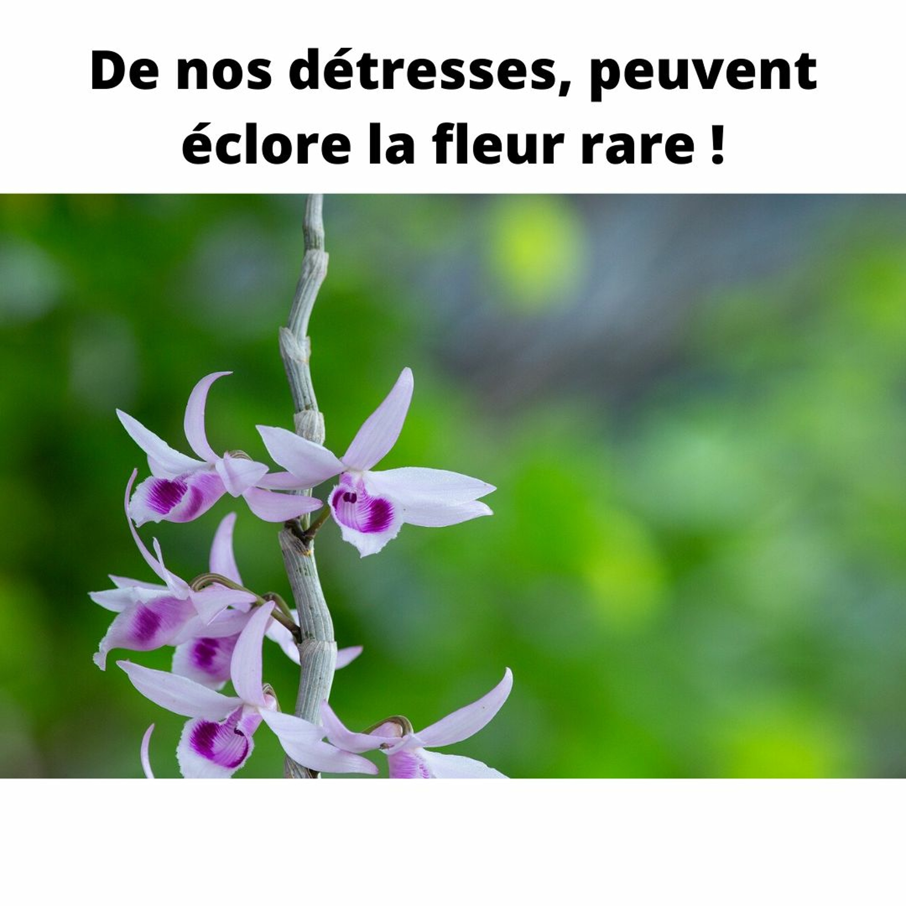 365Histoires