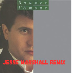 daniel balavoine sauver l'amour jesse marshall remix