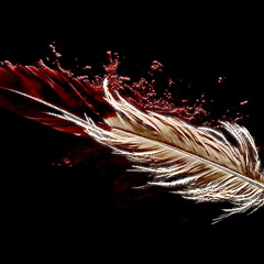RED FEATHER