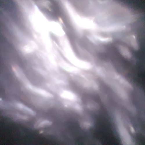 Status555 - f is u talking bout