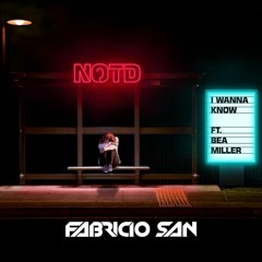 NOTD Ft. Bea Miller, Rafael Daglar - I Wanna Know (Fabricio SAN Mashup)