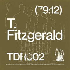 Take a Trip with T. Fitzgerald
