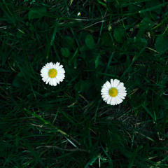 running in circles