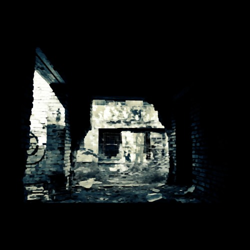 Euthanasia In Reverse