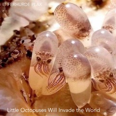 Little Octopuses Will Invade The World