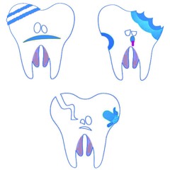 im the shit prod porcelain and prblm