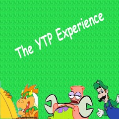 The YTP Experience