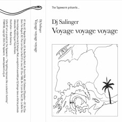 PREMIERE: DJ Salinger - Encre Vide Master [The Tapeworm]