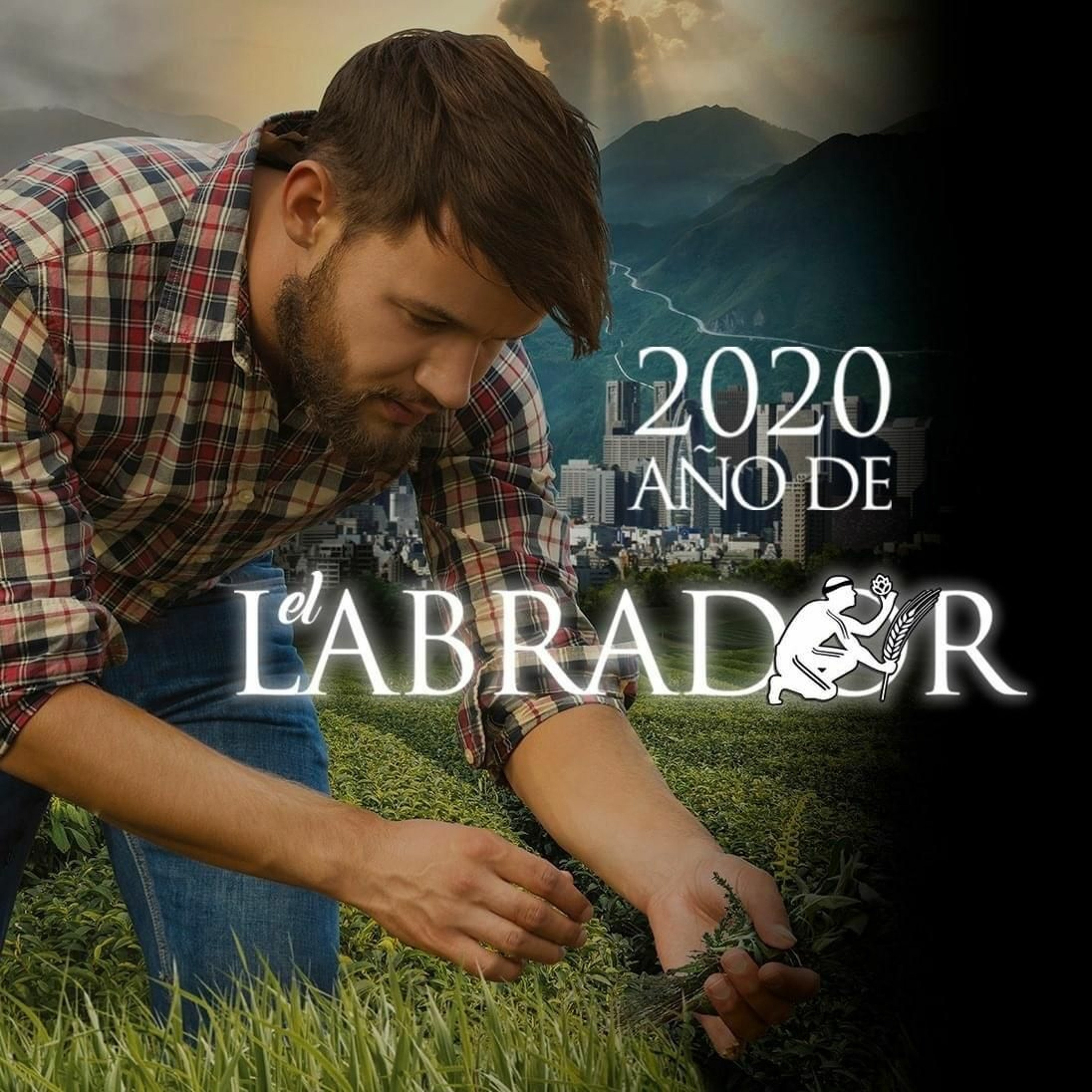 Serie El Labrador - Píldora 47 episode artwork