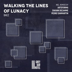 PREMIERE: Baez - Walking the Lines of Lunacy (Original Mix) [Grey Bar Hotel]