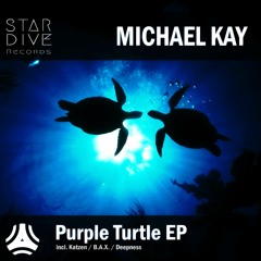 Michael Kay - Purple Turtle (B.A.X. Remix) PREVIEW