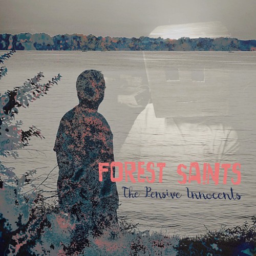 Stream Down By the Bay by Forest Saints | Listen online for free on ...