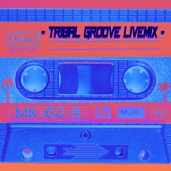 - TRIBAL GROOVE LIVEMIX - Progressive vibes