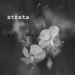 STRATA - AMBIENT #4