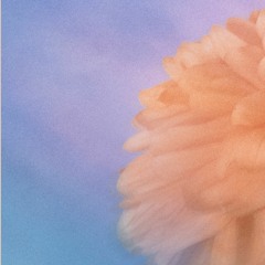 Granular Ambient ID