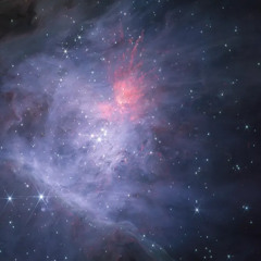 Vortex