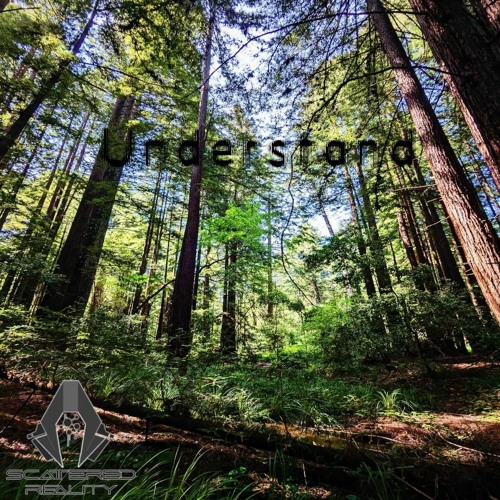 Understand (Free DL)